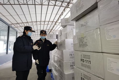 春节期间,广州海关监管跨境电商进出口商品总值20.7亿元